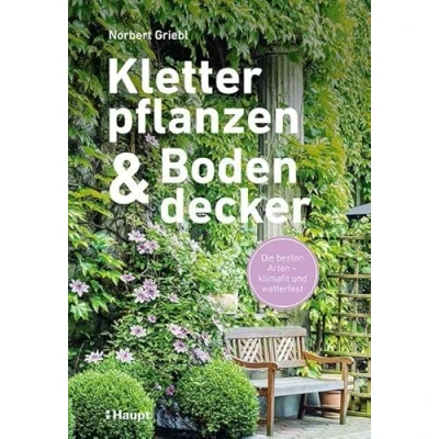 Abbildung von Kletterpflanzen und Bodendecker: Die besten Arten klimafit wetterfest