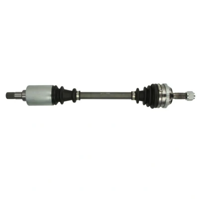Abbildung von Antriebswelle PASCAL G2C031PC