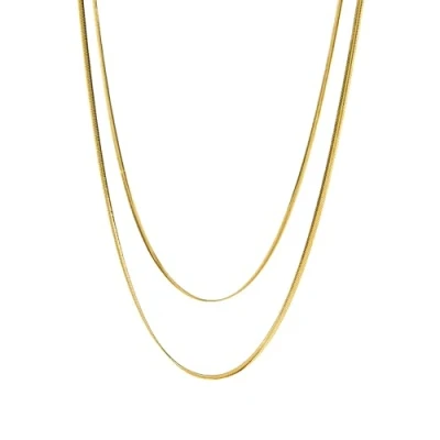 Abbildung von Purelei® Two Layers Halskette, Wasserfestes Kette für Damen, Elegantes Zweilagige in schlichtem Design aus Edelstahl, Geschenke Damen,40 45 cm Länge verstellbar (Gold)