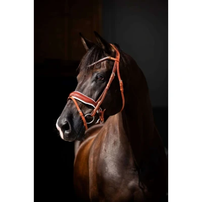 Abbildung von HB Showtime Bridle Ulani