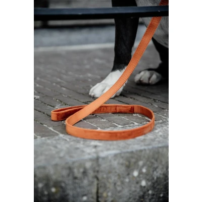 Abbildung von Kentucky Hundeleine Velvet Orange 1,2m L