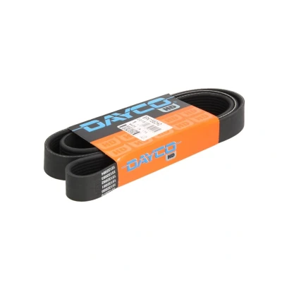 Abbildung von DAYCO 8PK1582HD Keilrippenriemen 1582,0 8