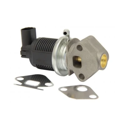 Abbildung von MAPCO 83802 AGR Ventil elektrisch Magnetventil mit Dichtung VOLKSWAGEN: Golf 4, Caddy 3, 4 Variant, SKODA: Octavia 2 Combi, II Hatchback