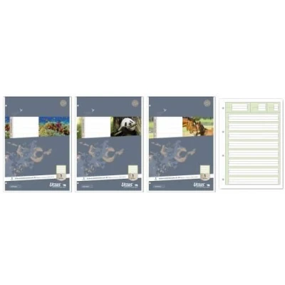 Abbildung von FORMAT X 040450001 Arbeitsblock A4 50 Blatt ECF 80 g