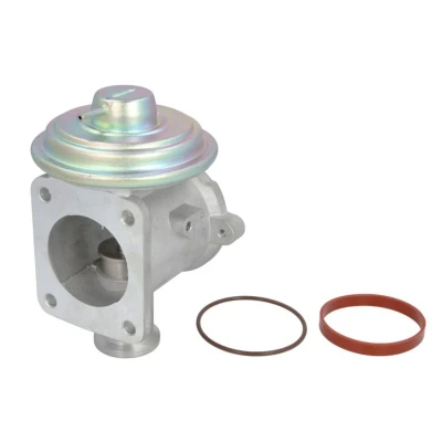 Abbildung von DELPHI EG10433 12B1 AGR Ventil ohne Kühler BMW: 3 Touring, X3, Saloon