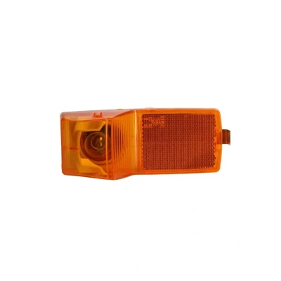 Abbildung von Blinkleuchte DT Spare Parts 1.21811