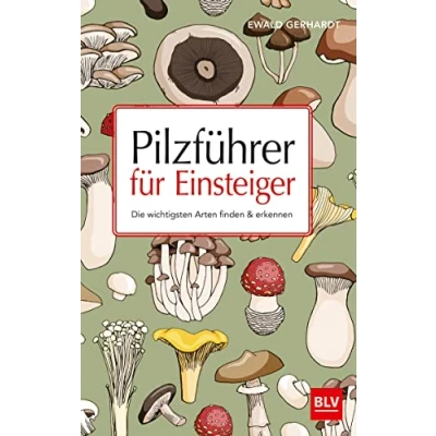 Abbildung von Pilzführer für Einsteiger: Die wichtigsten Arten finden &amp; erkennen (BLV Pilze)