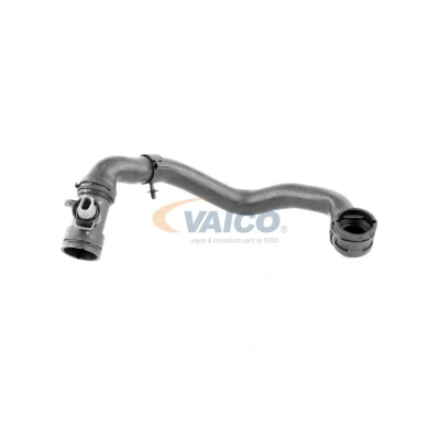 Abbildung von VAICO V10 4298 Kühlerschlauch mit Sensor Original Qualität AUDI: A3 Sportback, Hatchback, VOLKSWAGEN: GOLF 6 Cabrio, 5,