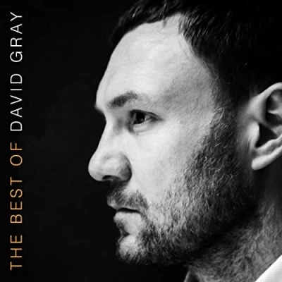 Abbildung von The Best of David Gray [Vinyl LP]