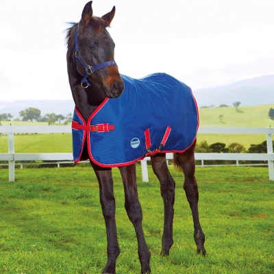 Abbildung von Weatherbeeta Medium Turnout Rug Original 1200D Fohlen Standard Neck 220g Navy/Rot/Weiß 95/145