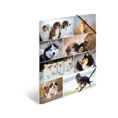 Abbildung von HERMA Sammelmappen A3 Hunde Set, 3 Stück, Kinder Eckspanner Mappen aus Pappe mit Tier Motiv, Gummizug, Innenklappen und Innendruck für Jungen Mädchen