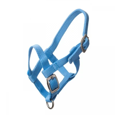 Abbildung von HB Halfter Nylon Hellblau Fohlen Mini