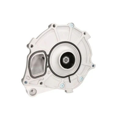 Abbildung von BF 20160713001 Wasserpumpe mit Dichtung mechanisch