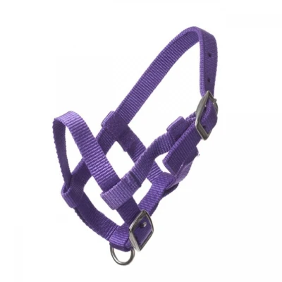 Abbildung von HB Halfter Nylon Violett Fohlen Mini