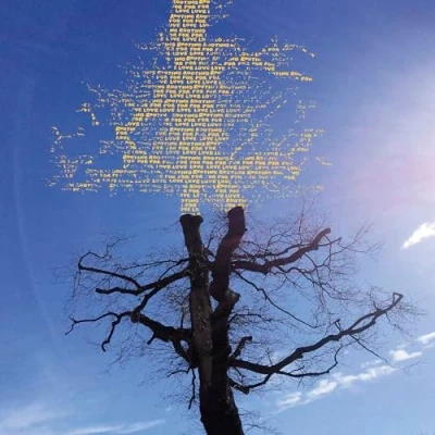 Abbildung von Rooting for Love
