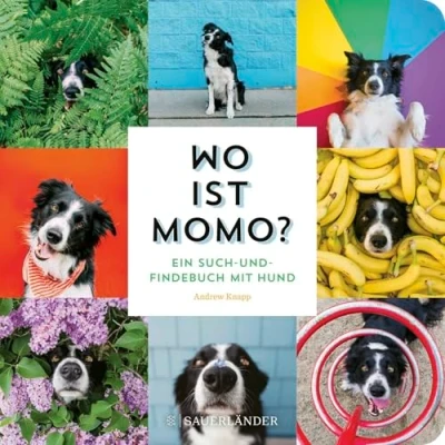Abbildung von Wo ist Momo?: Ein Such und Findebuch mit Hund Foto Bilderbuch für alle Hundefans ab 2 Jahren