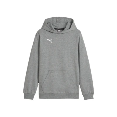 Abbildung von Puma Teamgoal Kapuzenpullover für Kinder, Größe: 152, Grauweiss
