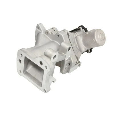 Abbildung von DELPHI EG10437 12B1 AGR Ventil FORD: Galaxy Mk2 MPV, MONDEO 4 Turnier, 4, CITROËN: C5 II Estate, III C8