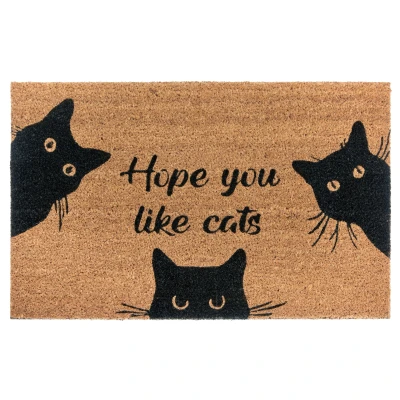 Abbildung von Hanse Home Kokos Fußmatte für Innen Schmutzfangmatte Natur, Kokosmatte Outdoor Katze, Fußabtreter Wetterfest und rutschfest Flur, Terrasse, Eingangsbereich 45x75cm