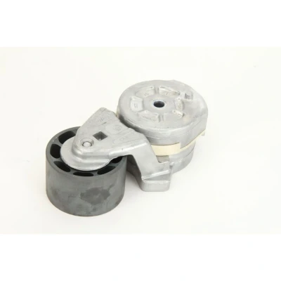 Abbildung von DAYCO APV2454 Riemenspanner