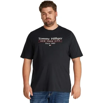 Abbildung von Tommy Hilfiger Center Stack TEE Tshirt print, Herren, Größe: XXL, Desert sky