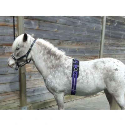 Abbildung von HB Longiergurt Little Sizes Violett Minishetland