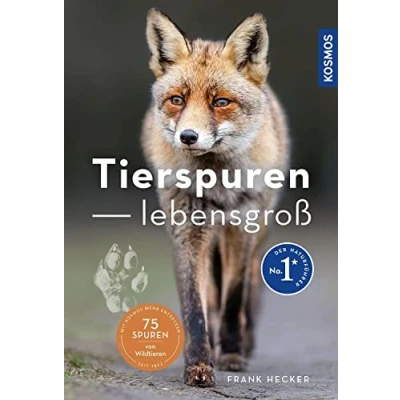 Abbildung von Tierspuren lebensgroß: 50 und wer sie hinterlässt