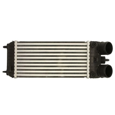 Abbildung von THERMOTEC DAP007TT Ladeluftkühler PEUGEOT: 207 Hatchback