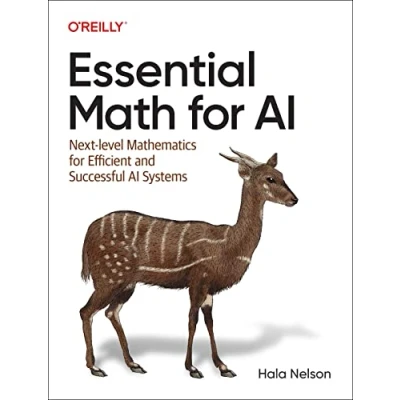 Abbildung von Essential Math for AI: Next Level Mathematics Efficient and Successful AI Systems