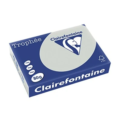 Abbildung von Clairefontaine 1993C Ries Druckerpapier / Kopierpapier Trophee, Pastell Farben, DIN A4, 80g, 500 Blatt, Stahlgrau, 1