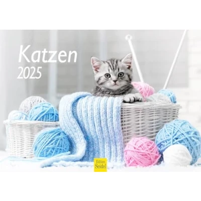 Abbildung von Edition Seidel Premium Kalender Katzen 2025 Format DIN A4 Wandkalender Katzenkalender Haustiere Kätzchen Katze Kater Kitten Katzenkinder