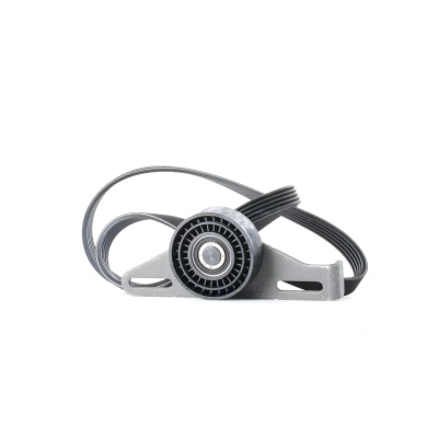 Abbildung von SKF VKMA 36091 Keilrippenriemensatz RENAULT: CLIO 2, Kangoo I, DACIA: Logan I MCV, Sandero