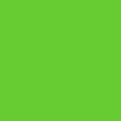 Abbildung von plottiX Perm. Vinylfolie 31,5cm x 1m Hellgrün