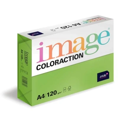 Abbildung von Image Coloraction Java farbiges Kopierpapier DIN A4, 210 x 297 mm, 120 g/m² buntes, holzfreies Druckerpapier für Kopierer 250 Blatt Maigrün