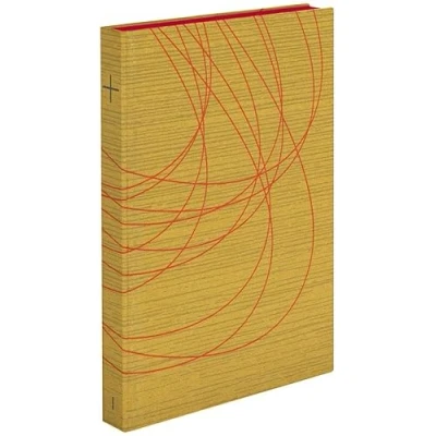 Abbildung von Die Feier der Heiligen Messe Lektionar für Bistümer des deutschen Sprachgebiets. Authentische Ausgabe den liturgischen Gebrauch: Messlektionar Band I: Sonntage und Festtage im Lesejahr A