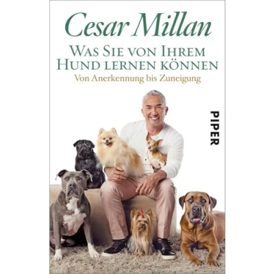 Abbildung von Was Sie Von Ihrem Hund lernen können: Anerkennung bis Zuneigung