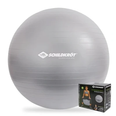 Abbildung von Schildkröt Unisex Erwachsene træningsbold 65 cm Gymnastikball, Silber, 65cm für Körpergrößen 161 bis 175cm EU