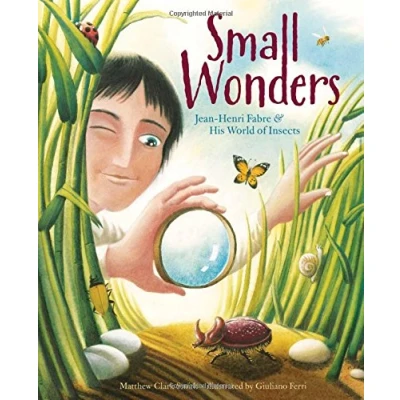 Abbildung von Small Wonders: Jean Henri Fabre and His World of Insects