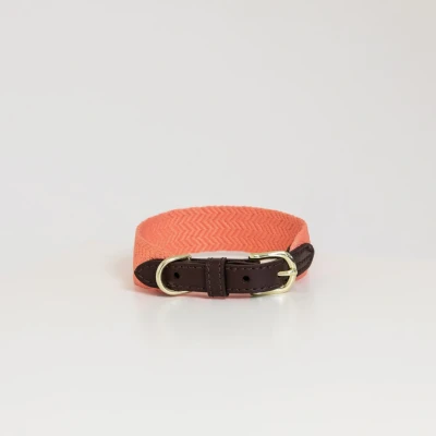 Abbildung von Kentucky Kragen Jacquard Neonorange 71cm