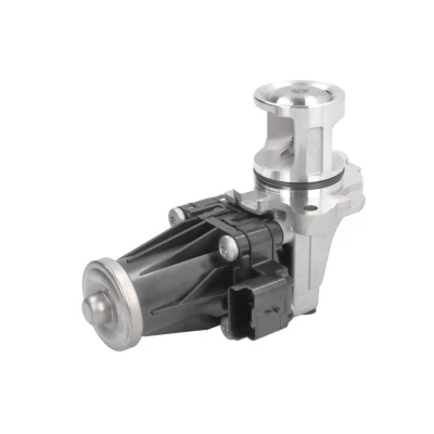 Abbildung von NISSENS 98376 AGR Ventil ohne Kühler FORD: Galaxy Mk2 MPV, Mondeo 4 Turnier, 5 Kombi, CITROËN: C4 Picasso 1, C5 III Estate, Berlingo II