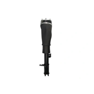 Abbildung von Magnum Technology APL018MT Luftfederbein vorne rechts