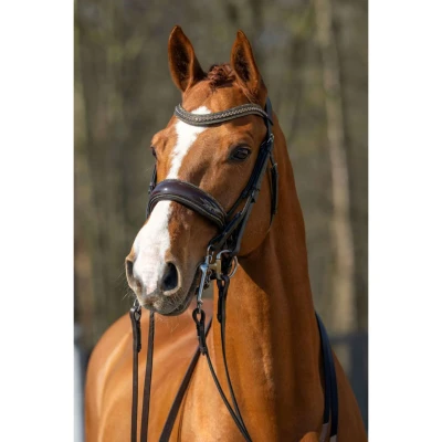 Abbildung von HB Showtime Double Bridle One in a Million