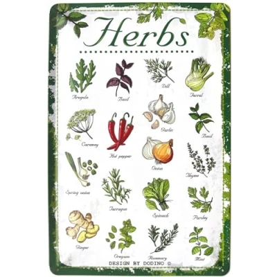 Abbildung von DODINO 20x30cm blechschilder Küchen Deko Garten Kräuter Wand Metall Schild