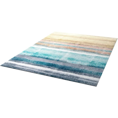 Abbildung von wash+dry Fußmatte, Frerik 140x200 cm, innen und außen, waschbar