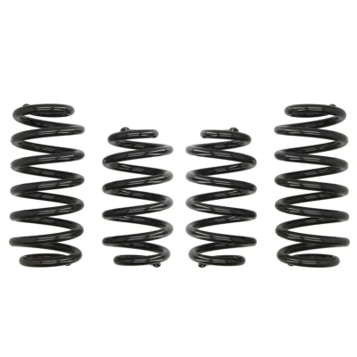 Abbildung von Federn EIBACH Pro Kit E10 15 008 01 22