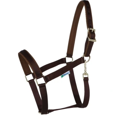 Abbildung von Bucas Hantel Dublin Pony Braun