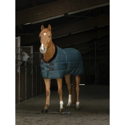 Abbildung von EQUITHÈME Stalldecke Teddy Grün/Braun 125/175