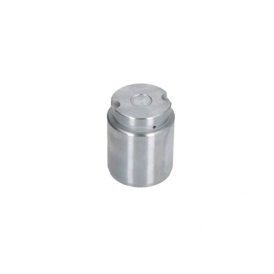 Abbildung von AUTOFREN SEINSA D025545 Kolben, Bremssattel 34 Hinterachse KASCO