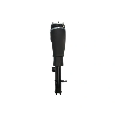 Abbildung von Magnum Technology APL017MT Luftfederbein vorne links