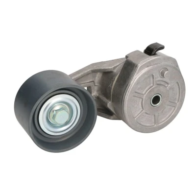 Abbildung von DAYCO APV1098 Riemenspanner